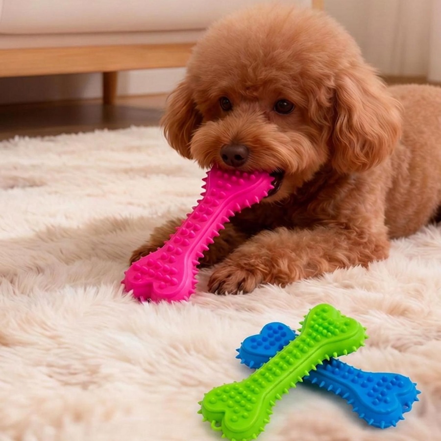 Teeth Cleaning Dog Chew Bone - 3/6pcs Chew Toys Dog Rubber Toothbrush
