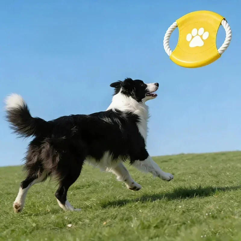 Internet Celebrity Pet Cotton  - đánh giá và giá Flying Disc Dog Training Toy