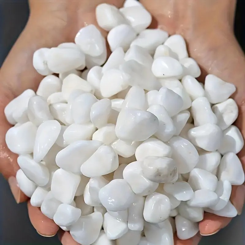 1L High-Quality Perlite Succul - đánh giá và giá Pet Beds