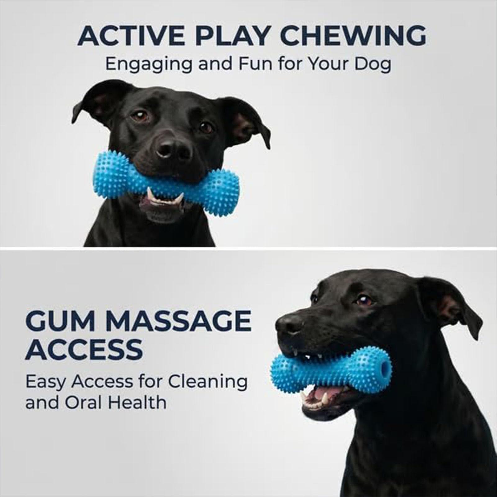 Dog Toothbrushing Toys Chewer  - đánh giá và giá Rubber Treat Dispensing Dog Toy