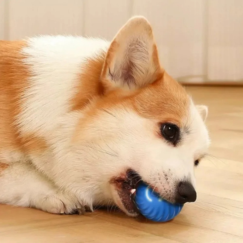 Dog Toy Ball Automatic Moving  - đánh giá và giá Automatic Moving Dog Ball