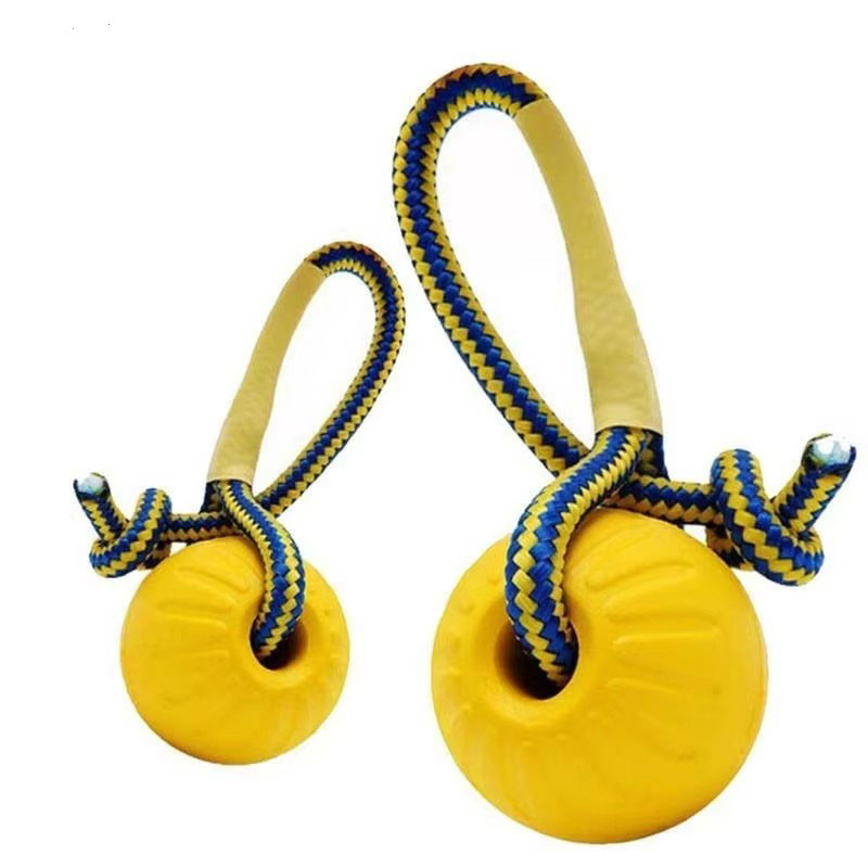 1pc Teeth Indestructible Bite  - đánh giá và giá Indestructible Dog Chew Toy