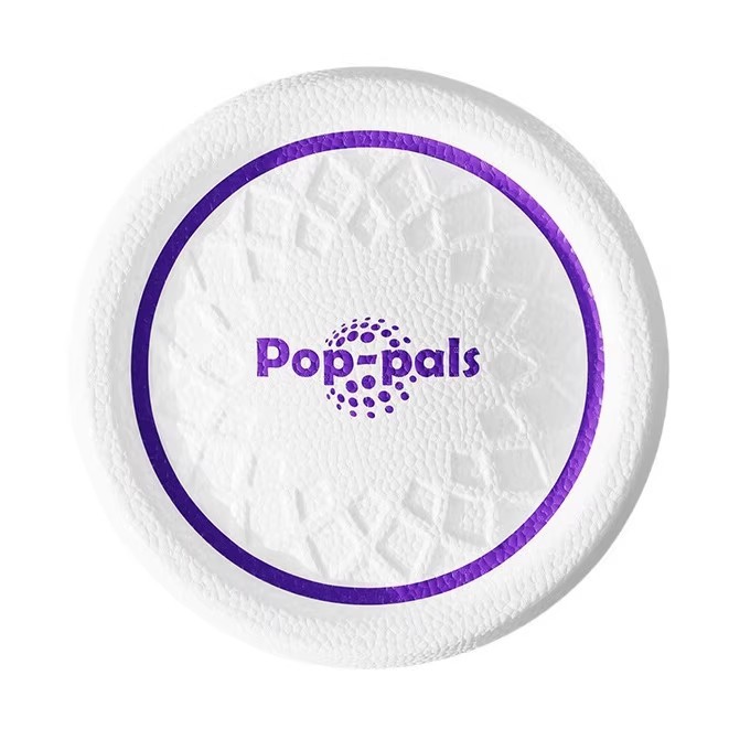 Dog Flying Disc Toy Durable So - đánh giá và giá Flying Disc Dog Training Toy